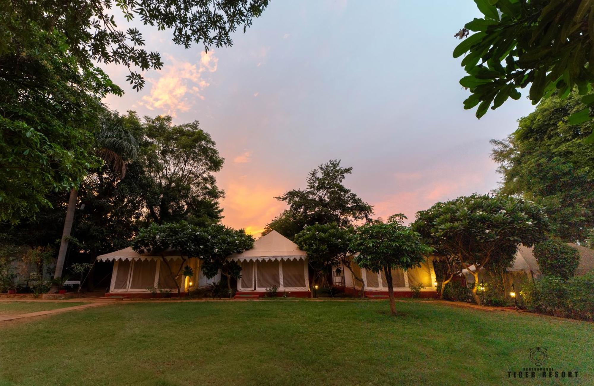 Ranthambore Tiger Resort Sawai Madhopur Eksteriør billede